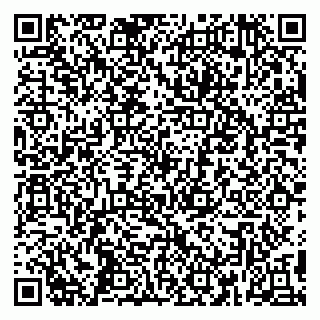 vCard 79390000311