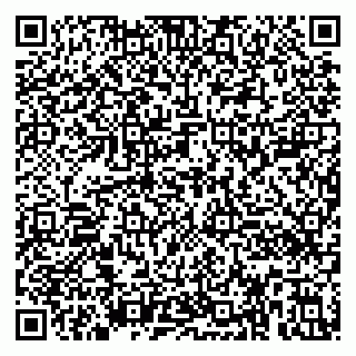 vCard 79390000313