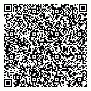 vCard 79390000331
