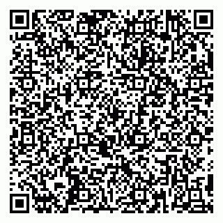 vCard 79390000333