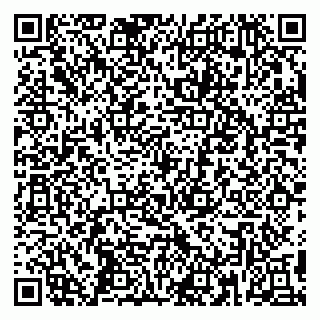vCard 79390000335