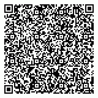 vCard 79390000382
