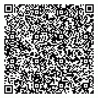 vCard 79390000384
