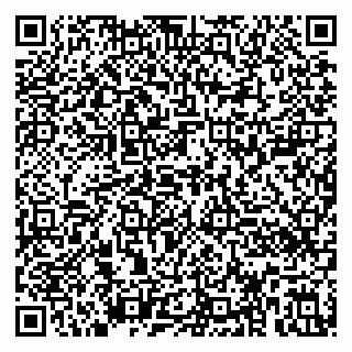 vCard 79390000391