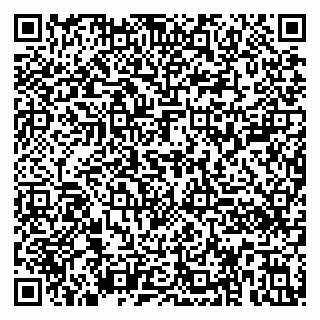 vCard 79390000393