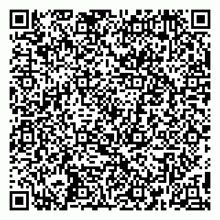 vCard 79390000399