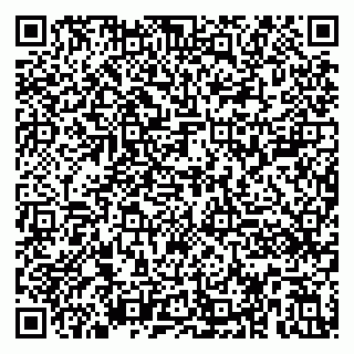 vCard 79390001234