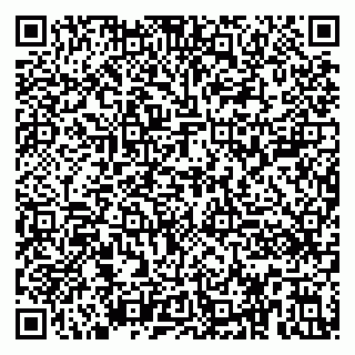vCard 79390001303