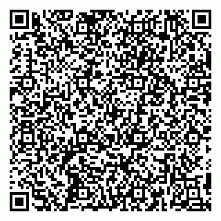 vCard 79390001317