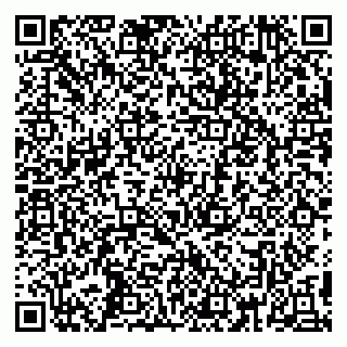 vCard 79390001321