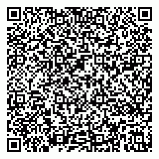 vCard 79390001331