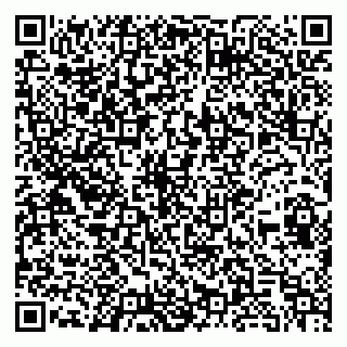 vCard 79390001333