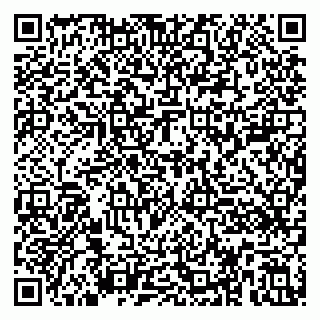 vCard 79390001335