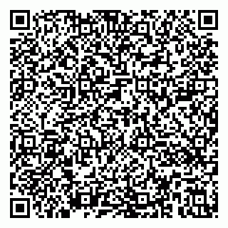 vCard 79390001370