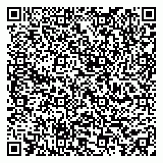 vCard 79390001378
