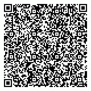 vCard 79390001381