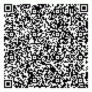 vCard 79390001382