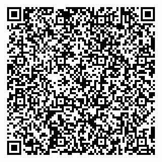 vCard 79390001413