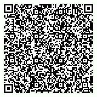 vCard 79390001453