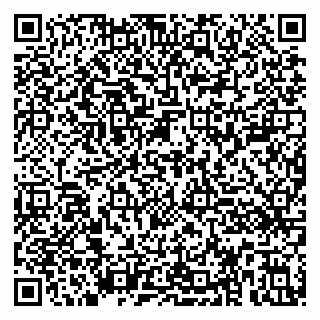 vCard 79390001493