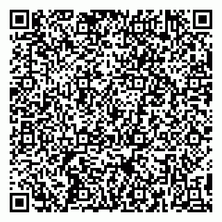 vCard 79390001513