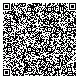 vCard 79390001521
