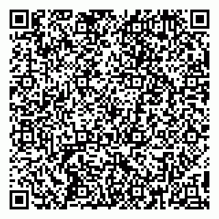 vCard 79390001529