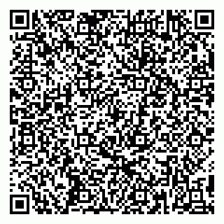 vCard 79390001533