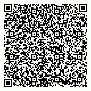 vCard 79390001535