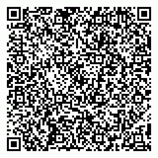 vCard 79390001589
