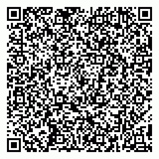 vCard 79390002011