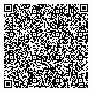 vCard 79390002013