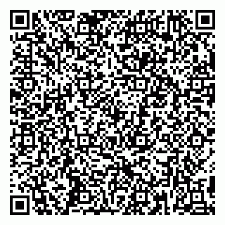 vCard 79390002132