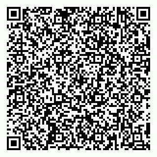 vCard 79390002333