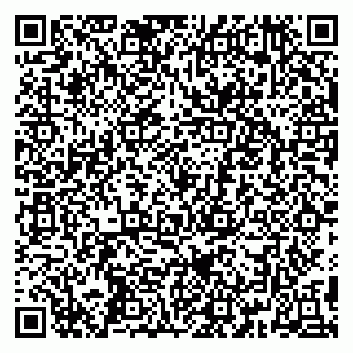 vCard 79390002381