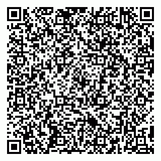 vCard 79390002513