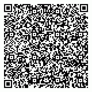 vCard 79390002633