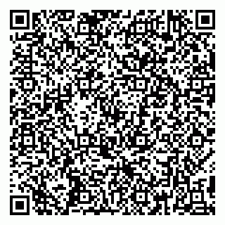 vCard 79390002823