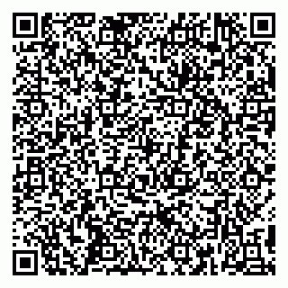 vCard 79390002913