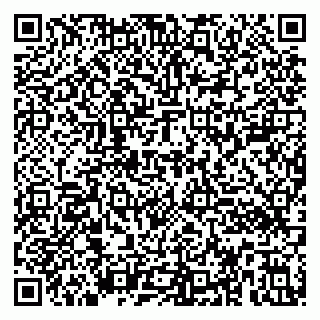 vCard 79390002933