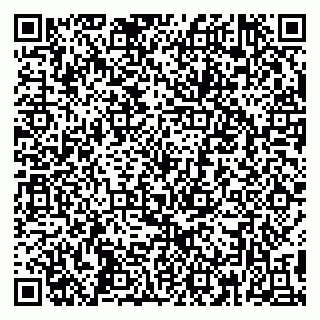vCard 79390002973