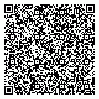 vCard 79390002977