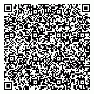 vCard 79390003131