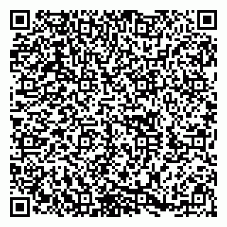 vCard 79390003341
