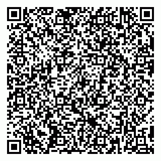 vCard 79390003933