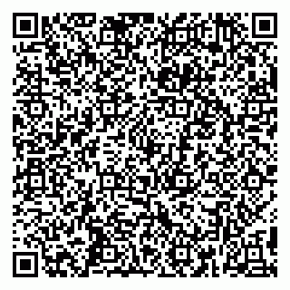 vCard 79390004011