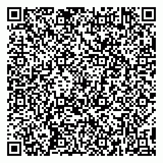 vCard 79390004013
