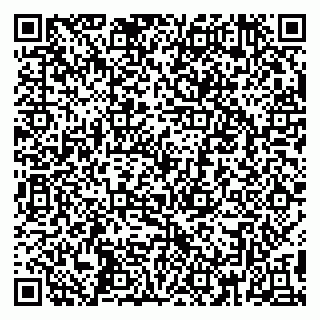 vCard 79390004021