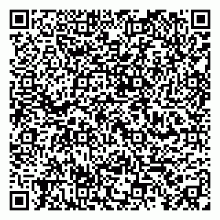 vCard 79390004022