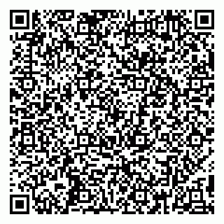 vCard 79390004029
